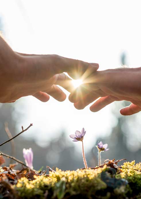 Have Hope in your Healing