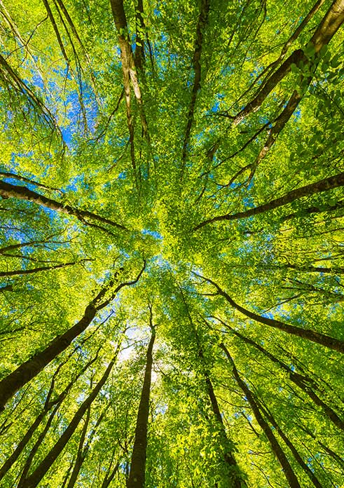 Healing Layer by Layer